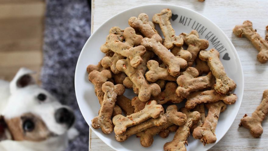 10 Healthy and Super Affordable Dog Treats For Your Pups