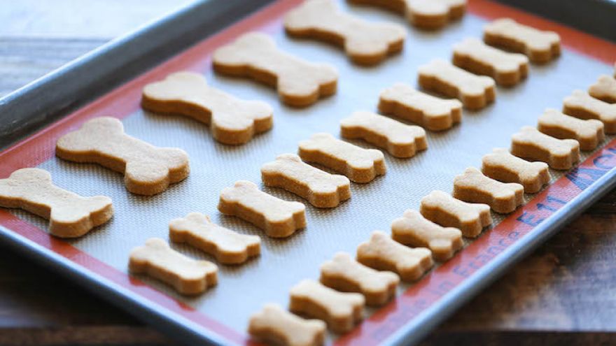 Homemade Dog Treat Ideas for Your Furry Babies!
