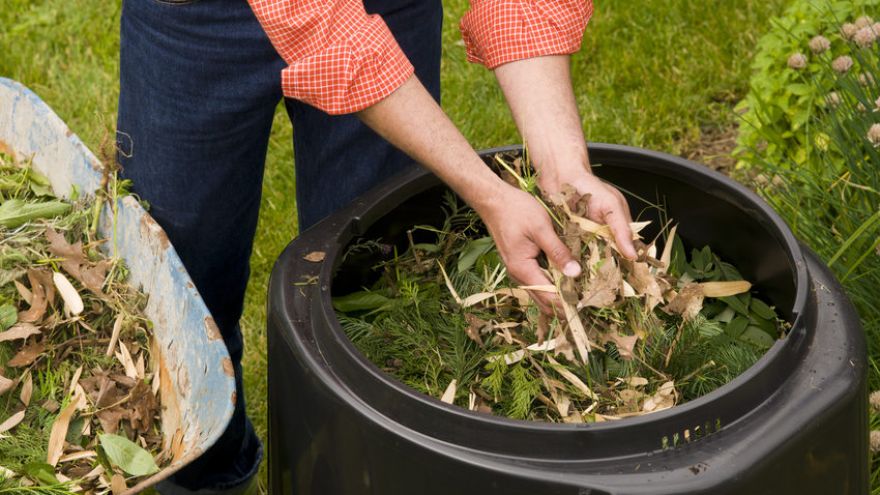 How to Compost and What You Need to Start Composting!