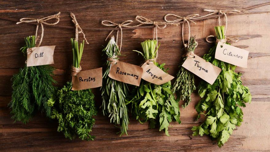 Tips for Having a Flourishing an Indoor Herb Garden