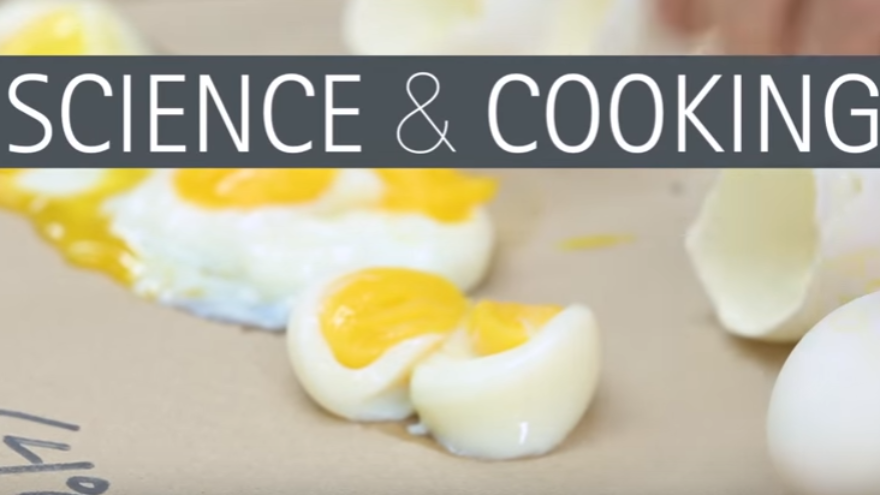 The Nerdy Cooking Tips and Facts that Will Amaze Kids