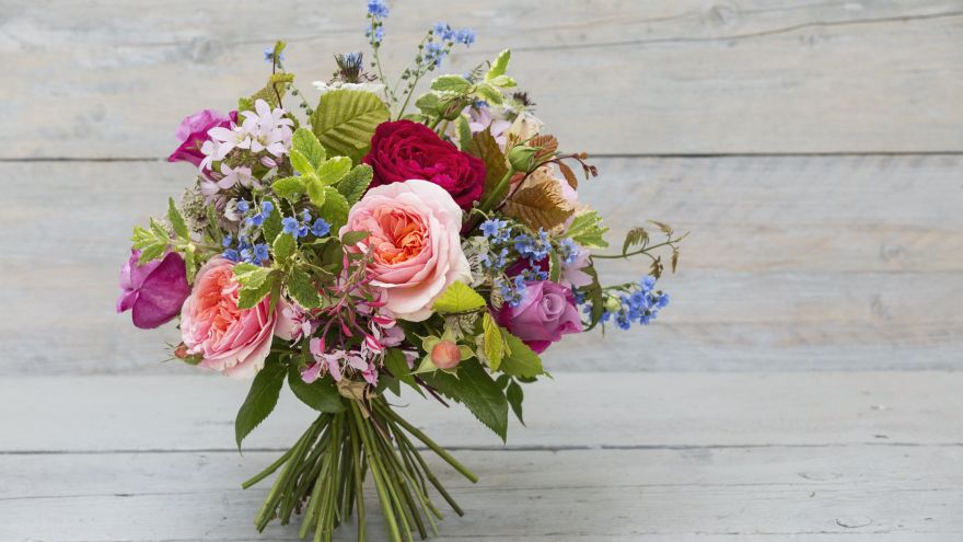 5 Awesome Sites to Buy Flowers From!